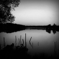 /album/que-seja-doce-/photolia-b01-jpg/